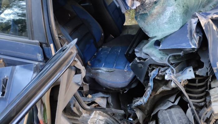 В Добрушском районе произошло смертельное ДТП, в котором погибла женщина-пассажир