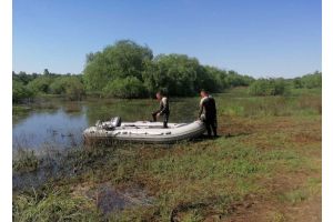 Вчера в Гомельской области утонули три человека