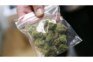 У жителя Буда-Кошелева нашли более килограмма марихуаны