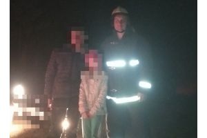 В Добрушском районе заблудились четверо грибников, в том числе девочка – всех нашли