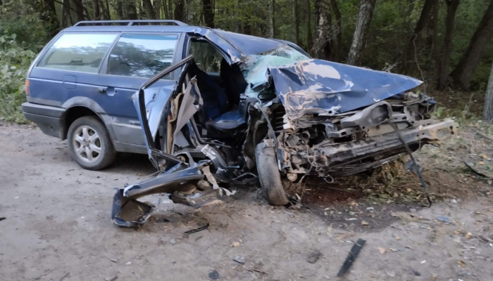 В Добрушском районе произошло смертельное ДТП, в котором погибла женщина-пассажир