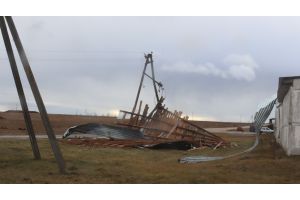 В Беларуси 14 января 836 населенных пунктов пострадали от сильного ветра