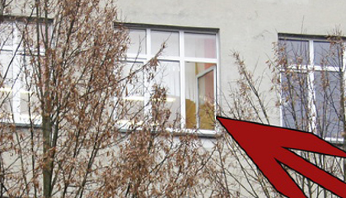 Из окна четвертого этажа Добрушского лицея выпал его работник