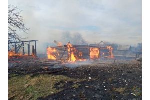 На Гомельщине за последние сутки огнем уничтожено пять хозпостроек и поврежден деревянный дом