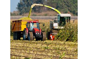 Уборка зерновых в Добрушском районе практически завершена