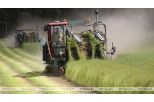 Сельхозпроизводство составляет около 6% ВВП Беларуси