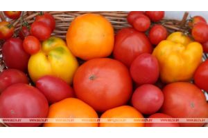 Выпуском органической продукции в Беларуси занимаются 29 производителей
