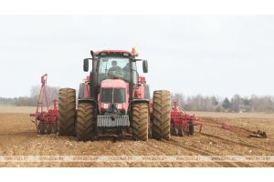 Сев озимых зерновых в Беларуси проведен более чем на 80% площадей