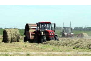 Второй укос трав проведен в Беларуси почти на половине площадей