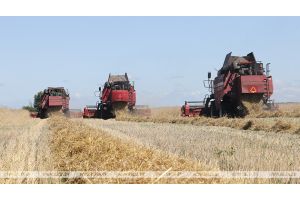 Объем валовой продукции сельского хозяйства по итогам года планируется увеличить на 2-3%
