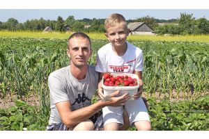 Собрать полтонны ягод с трех соток – выполнимая задача для семьи садоводов-любителей из Ивак Добрушского района