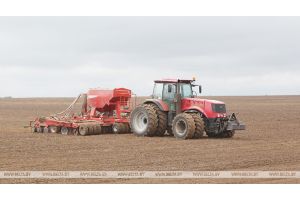 Сев озимых зерновых завершается в Беларуси
