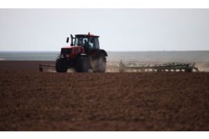 Правительство утвердило меры по подготовке к полевым работам и уборке урожая в 2021 году