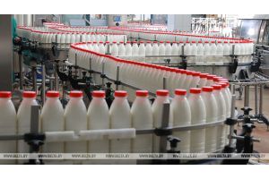 Сельхозорганизации в 2021 году произвели более 7,588 млн т молока