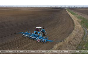 Белорусские аграрии завершили посадку овощей на сельскохозяйственных угодьях