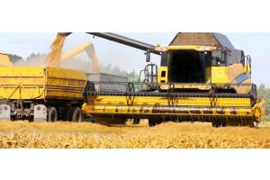 Урожай зерна в Беларуси в этом году составил не менее 10,3 млн т