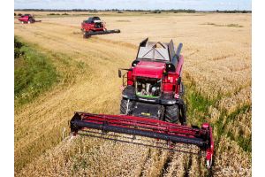 Жатва в Беларуси перешагнула экватор – зерновые убраны с 51 процента площадей