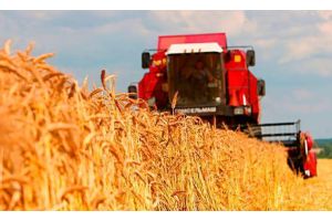 Беларусь рассчитывает в 2025 году нарастить экспорт сельхозпродукции до $7 млрд