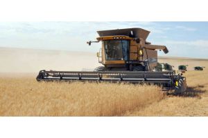В Беларуси намолочено более 4,1 млн т зерна нового урожая