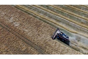 В Беларуси намолочено свыше семи миллионов тонн зерна