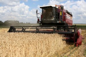 Белорусские аграрии намолотили более 7,2 млн тонн зерна