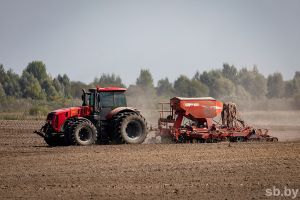 В Беларуси посеяно 18 процентов озимых зерновых