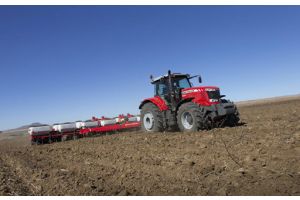 Озимые зерновые в Беларуси посеяли на 63% запланированных площадей