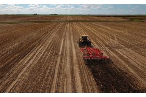 Озимые зерновые в Беларуси посеяли почти на 90% площадей