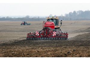 В Беларуси завершен сев озимых зерновых