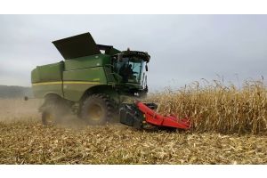 В Беларуси осталось убрать 13,4% площадей кукурузы
