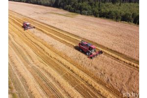 Собранного в стране зерна хватит для всех нужд, создан надежный задел и под урожай-2022