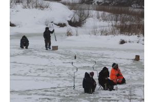 Спасатели Добруша обеспокоены поведением рыбаков на льду