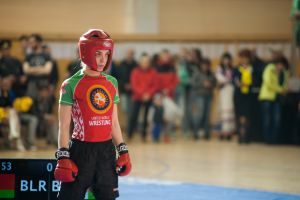 Турнир по смешанным единоборствам проведут в Чечерске