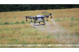 В НАН разрабатывают технологии по применению дронов в сельском хозяйстве
