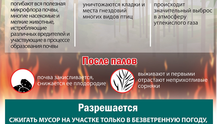 Более 30 лесных пожаров произошло в Беларуси за сутки