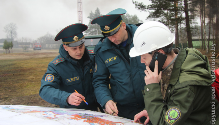 Спасатели и лесники Добрушского района провели совместные учения