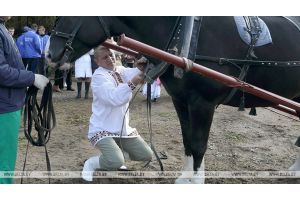 Запрягут коня и расскажут о семейных традициях - в Гомельской области выберут Властелинов села