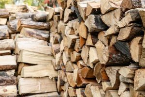В Молдове из-за нехватки газа люди заготавливают дрова