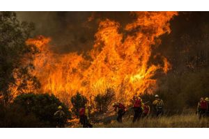 Почти 100 крупных пожаров полыхают в трех штатах США