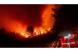 Лесной пожар в Калифорнии распространился на 112 тыс. гектаров