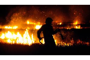 На Гавайях число погибших из-за природных пожаров достигло 101 человека