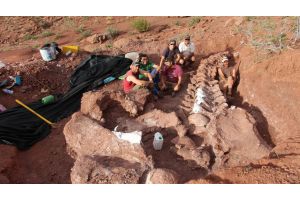 В Аргентине нашли останки динозавра, жившего 140 млн. лет назад