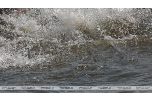 В Гомельской области в I полугодии число случаев гибели людей на воде снизилось на треть