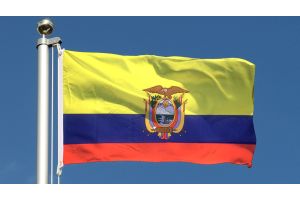 Даниэль Нобоа победил на выборах президента Эквадора