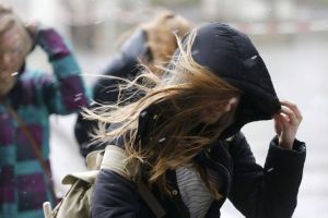 Оранжевый уровень опасности объявлен в Беларуси 17 февраля из-за сильного ветра