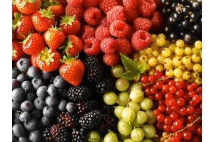 Урожай плодов и ягод в Беларуси в 2019 году составил почти 160 тыс. т