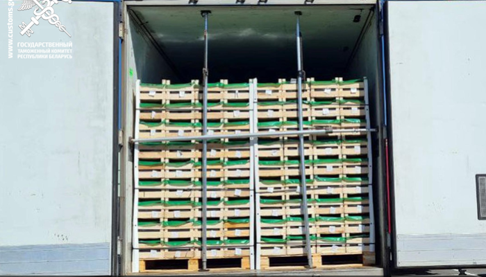 В Россию без документов пытались вывезти очередные 40 тонн груш. Нарушения законодательства установили витебские и гомельские таможенники при проведении специальных мероприятий