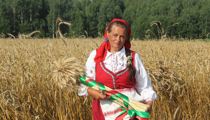 Зажинки в "Завидовском"