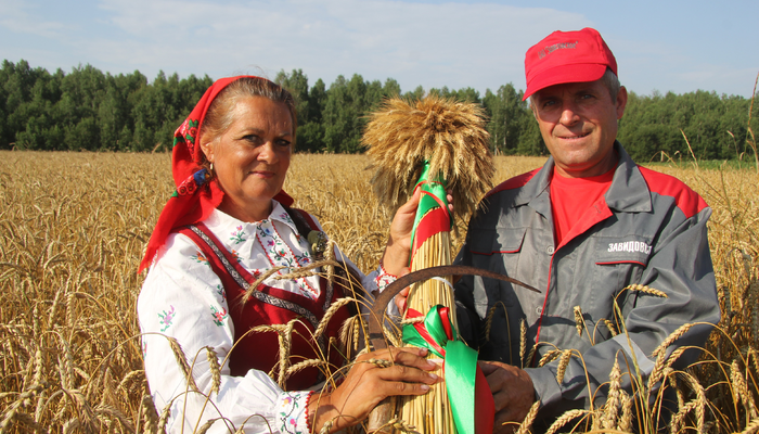 Зажинки в "Завидовском"