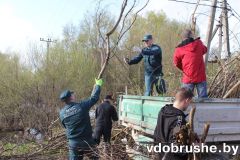 Добрушане приняли участие в Республиканском субботнике